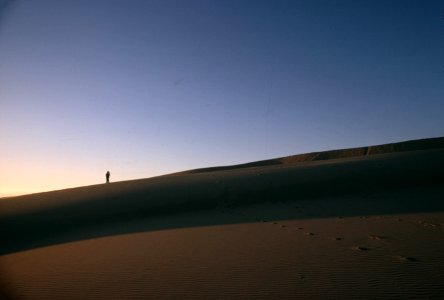 Oregon Dunes NRA, solitude, Siuslaw National Forest.jpg photo