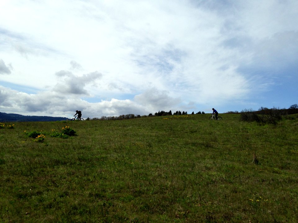 Mountain Bikers on a Mt. Hood Trail