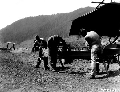 280035 CCC Camp F-20, Building a Boat, Olympic NF, WA 1933 Swan photo