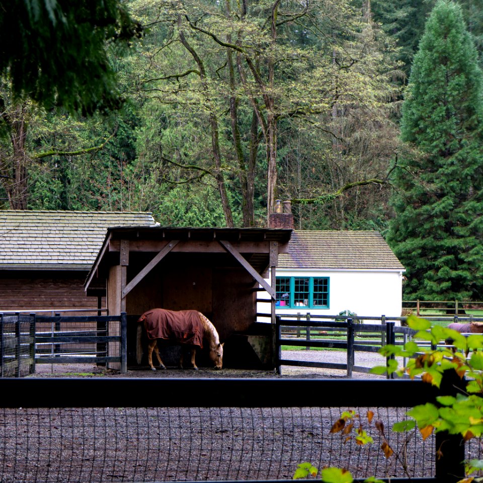 farrel-Mcwhirter Farm Park