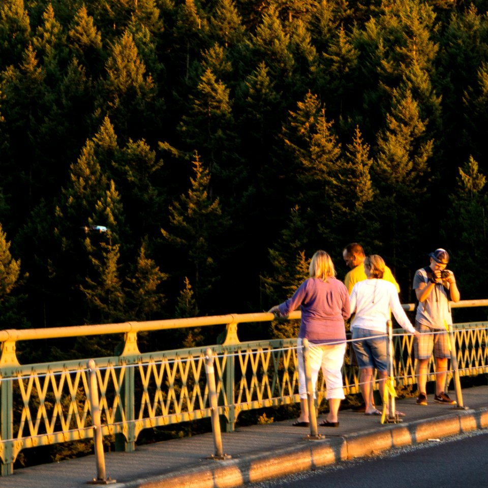 Deception Pass and Bowman Bay