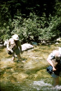 Wenatchee NF - Bridge Creek , Chelan RD, WA 7-1958