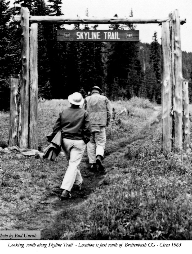 Willamette NF - Skyline Trail South of Breitenbush CG, OR c1965 - Unruh photo