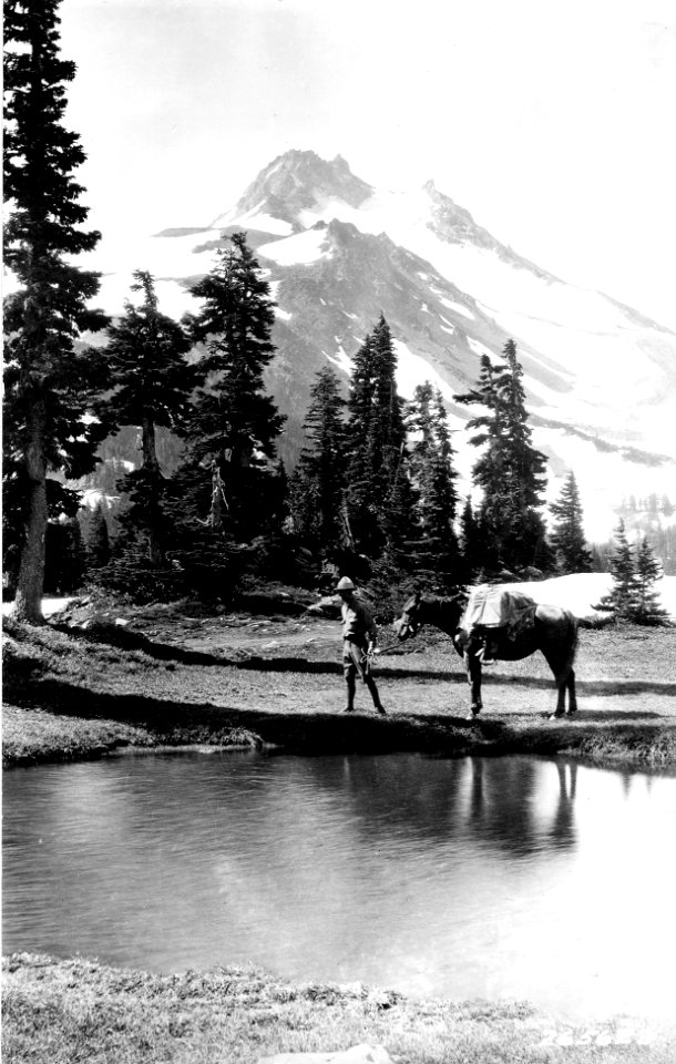 265623 Mt. Jefferson Primitive Area, Santiam NF, OR 1931