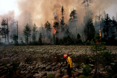 128 Rogue River-Siskiyou National Forest Biscuit Fire photo