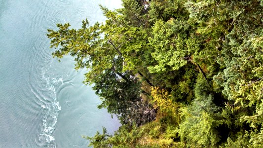 Palette of greens contrasts with slate-gray water at Deception Pass State Park