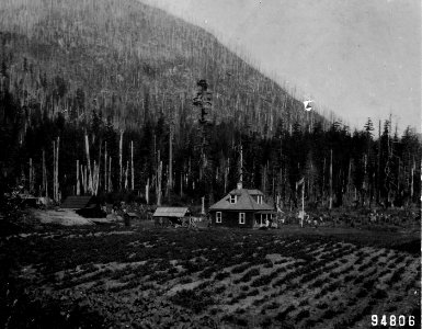 94806 Silverton RS, Mt. Baker NF, 1910 WA photo