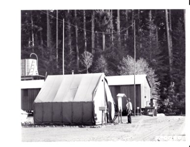 280060 CCC Camp F-21, Quinault River, Olympic NF, WA 8-1933