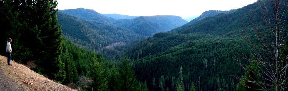 Hiker Viewing Salmon Creek Watershed, Willamette National Forest