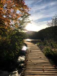 #Plitvicka jezera National park. It’s incredible. #Croatia. #十六湖國家公園 #克羅埃西亞