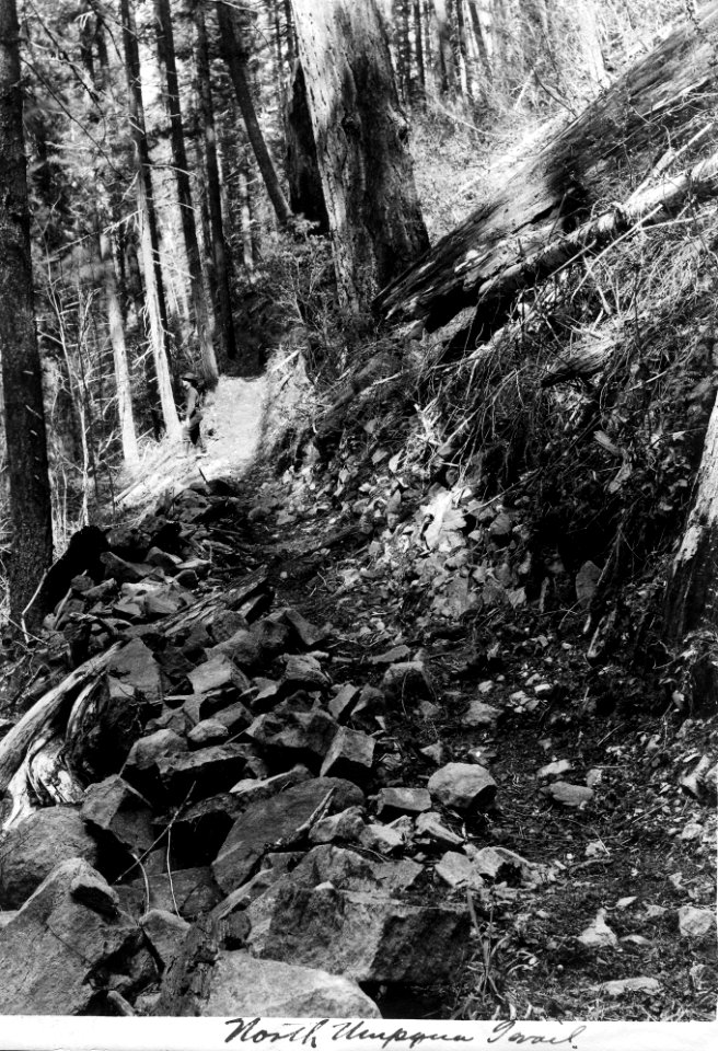 Umpqua NF - North Umpqua Trail, Or c1910