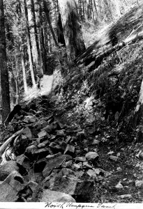 Umpqua NF - North Umpqua Trail, Or c1910 photo