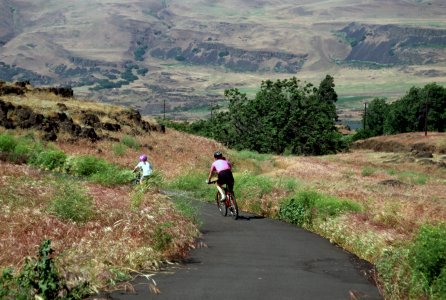 Bicycle riders, Columbia River Gorge NSA photo