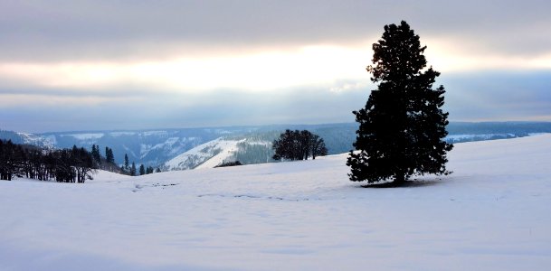 Mt. Hood Meadows on the Mt. Hood National Forest