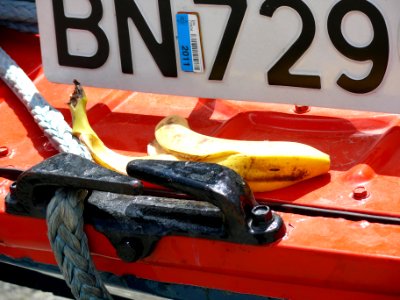 Rassemblement international de la voiture amphibie