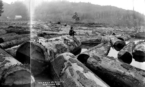 211 (maybe) Spruce Logs in Log Pond #2 of 3