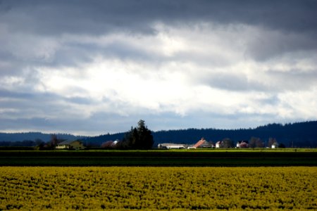 DSC02896