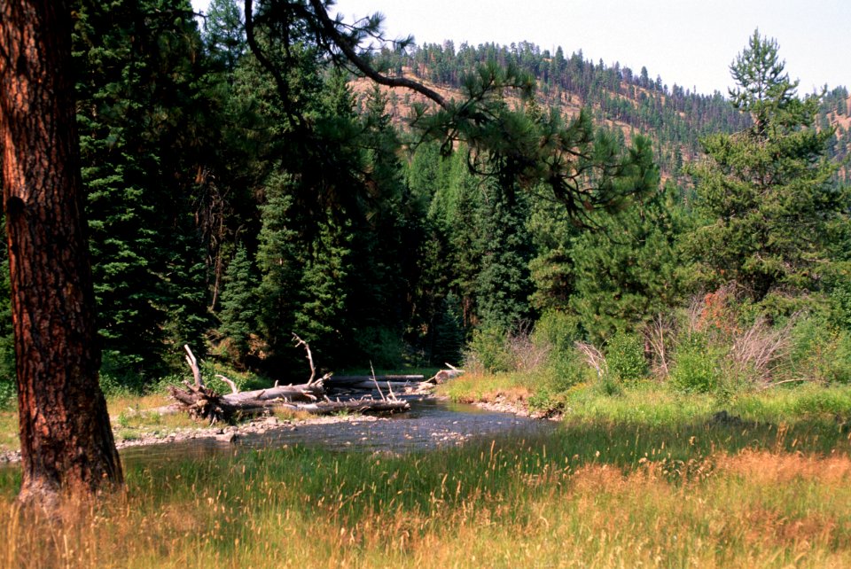 Umatilla Nat'l Forest, Grande Ronde River, stream habitat restoration.jpg