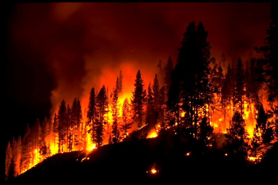 fire