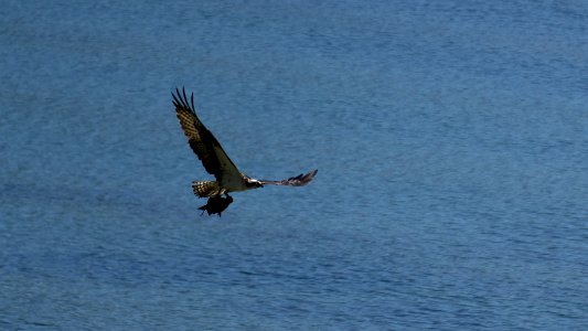 Bowman Bay Fidalgo Island