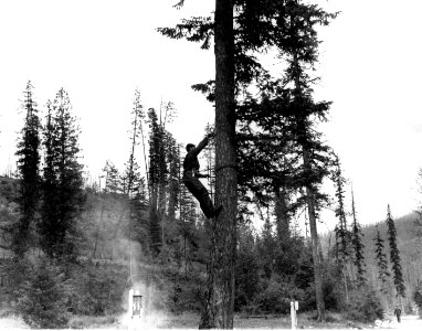 340383 CCC at Growden RS, Colville NF, WA 1936 photo