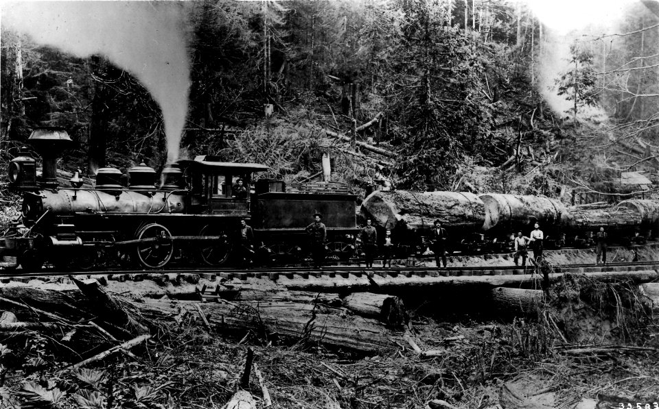 32583 RR Log Train - Linden, 1902 WA