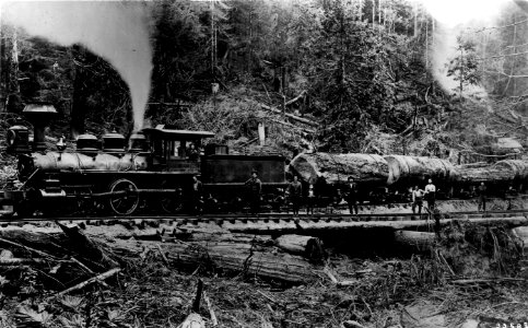 32583 RR Log Train - Linden, 1902 WA photo
