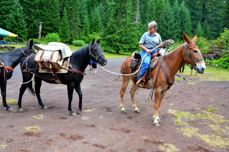 Willamette National Forest - Centennial Celebration at Fish Lake-106 photo
