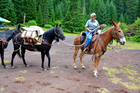 Willamette National Forest - Centennial Celebration at Fish Lake-106