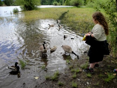 Detroit Ranger District-Free Fishing Day-114