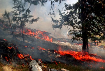 489 Prescribed fire burn, Colville National Forest