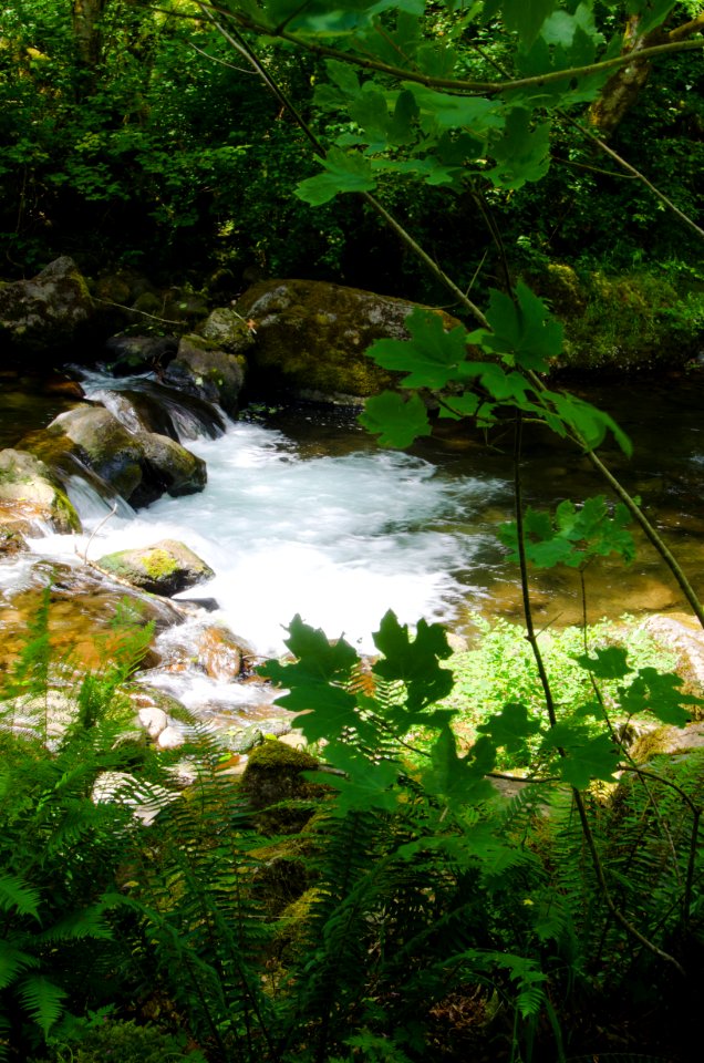 Small Cascade on Tanner Creek-Columbia River Gorge