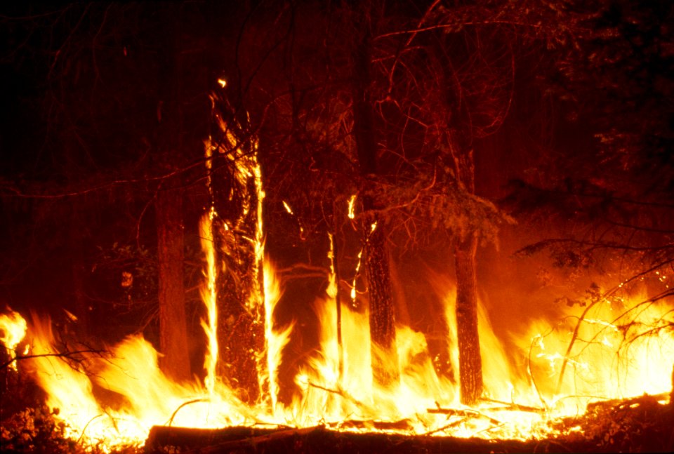 night time fire  Pine Grove Fire