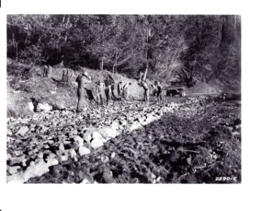289015 Building Road on Coos Bay-Roseburg Highway, Siskiyou NF, OR 2-14-1934