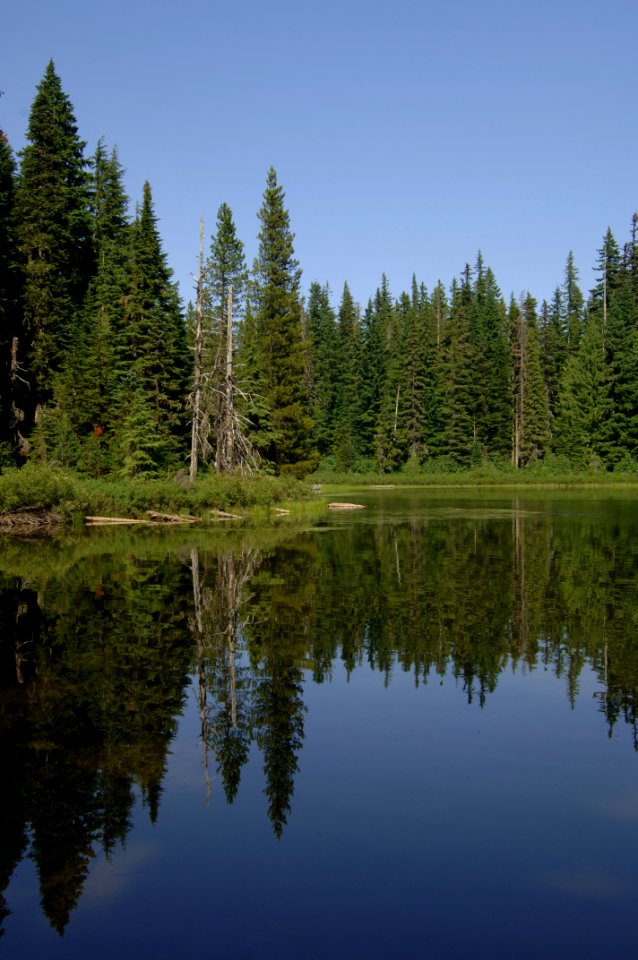 Forlorn Lake Reflections-Gifford Pinchot