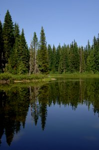 Forlorn Lake Reflections-Gifford Pinchot