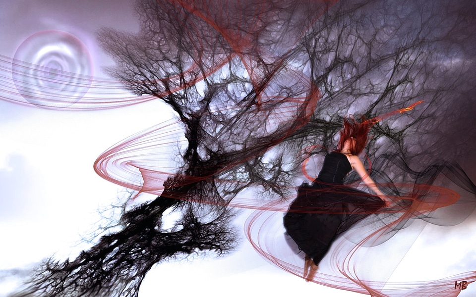 Wind storm hurricane