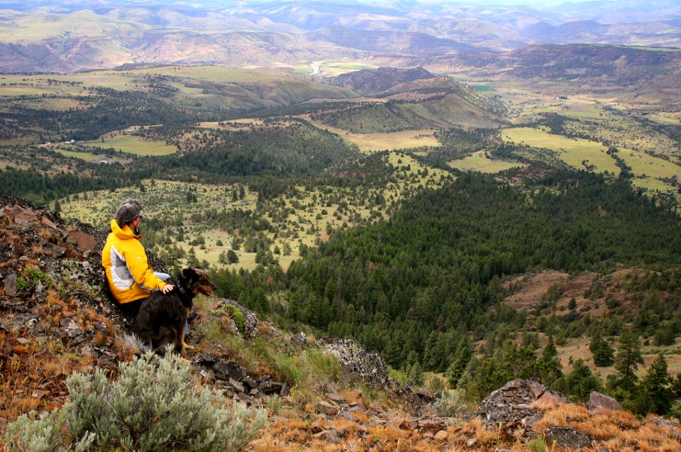 Tamarack Lookout Tower, Umatilla National Forest