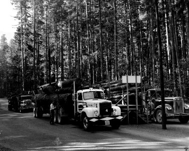 R-6 80-56-56 Westfir Log Scaling Station, Willamette NF, OR 1966 photo