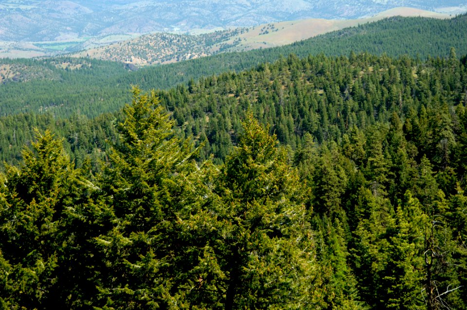 Monument Rock Wilderness-Malheur photo