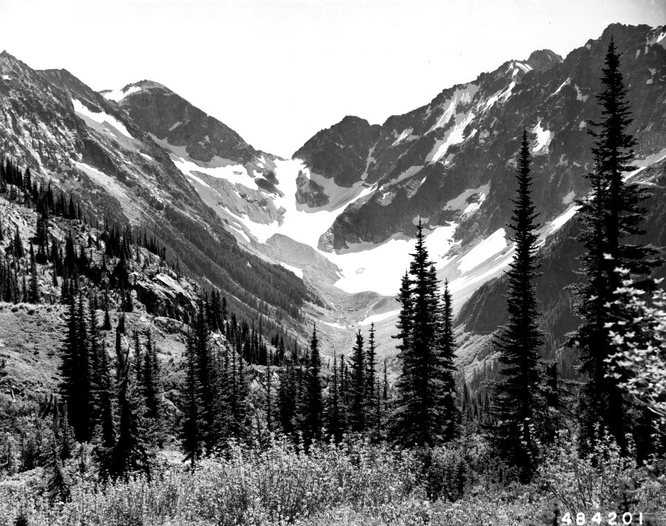484201 Suittle Pass, Miners Cr, Mt Baker NF, WA 1955