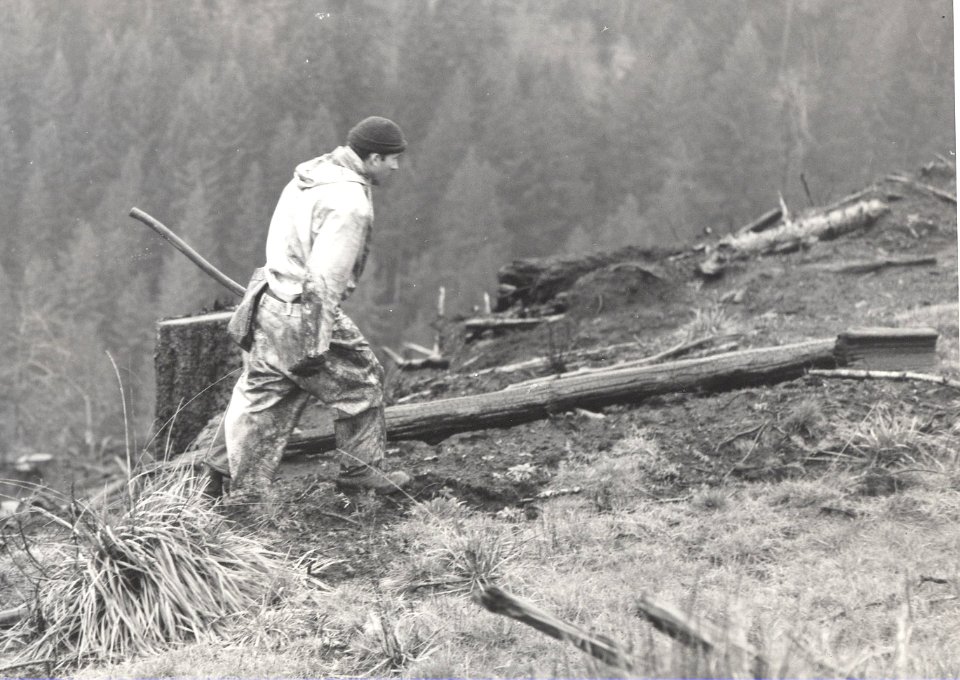 logger walking axehandle