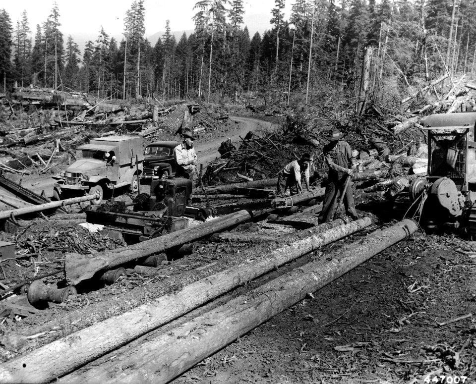447007 Salvage Logging, Willamette NF OR 1947