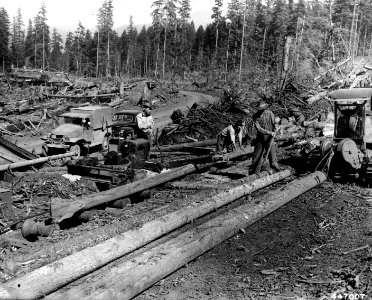 447007 Salvage Logging, Willamette NF OR 1947