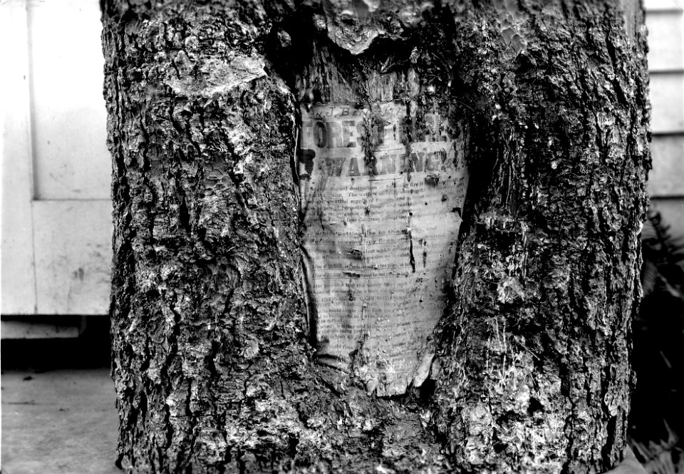 Willamette NF - Cy Bingham Fire Sign, Wilamette NF, OR 1937
