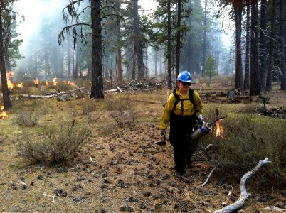 Klamath Ranger District 2013. Spring Prescribed Burning-Fremont Winema photo