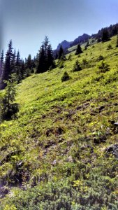 Looking up toward Buckhorn Pass