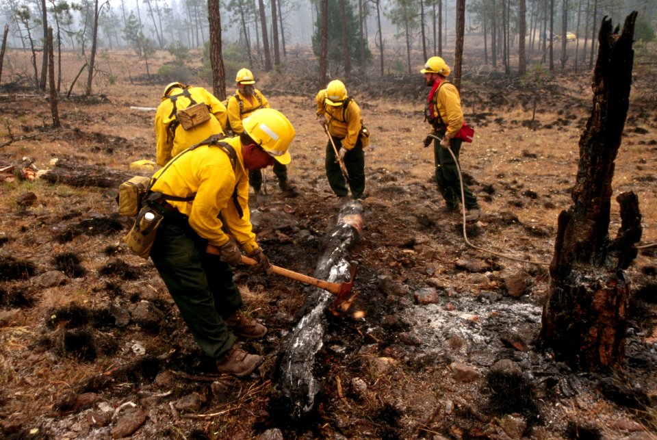 223 Rogue River-Siskiyou National Forest Biscuit Fire