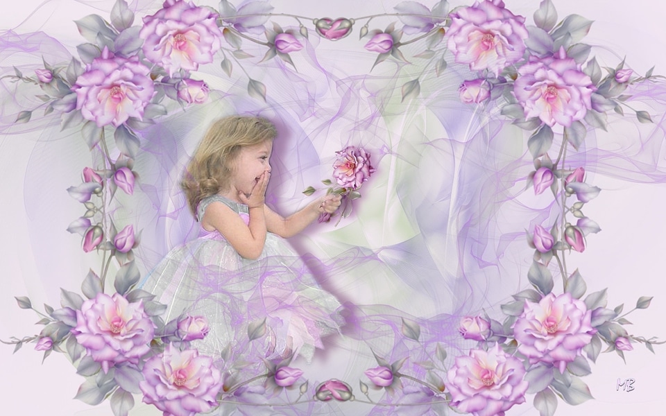Roses admiration Free photos