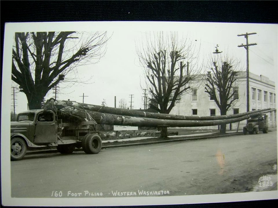 160-PilingOnTrucks